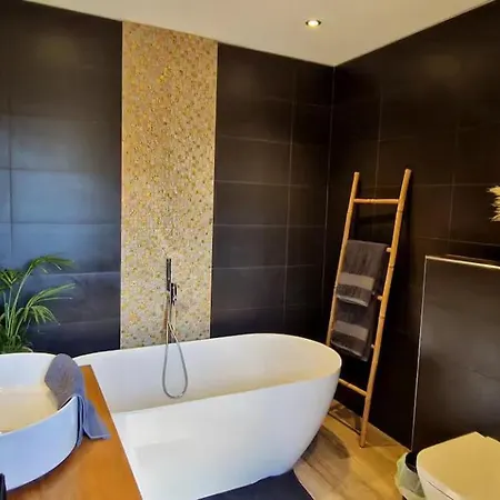 Moderne Avec Piscine 4 Etoiles ヴィラ