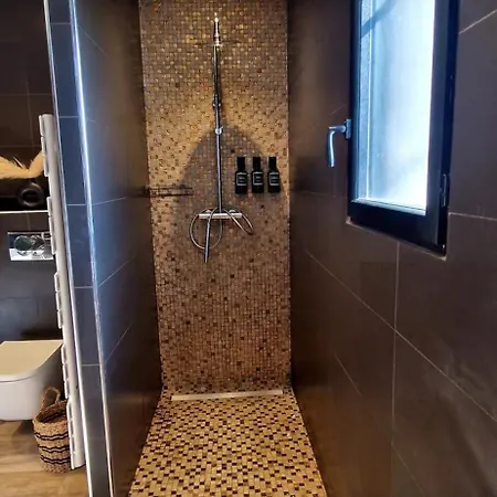 Moderne Avec Piscine 4 Etoiles 别墅 *