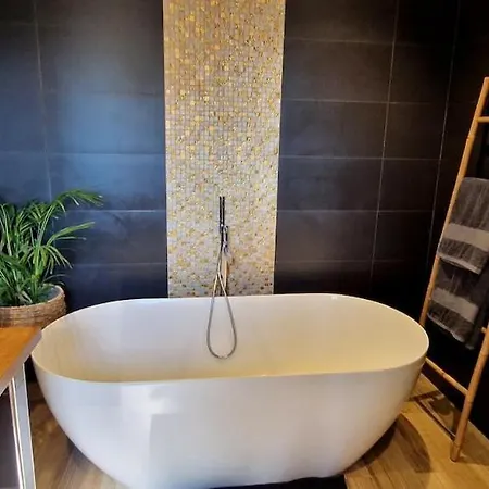 Moderne Avec Piscine 4 Etoiles *