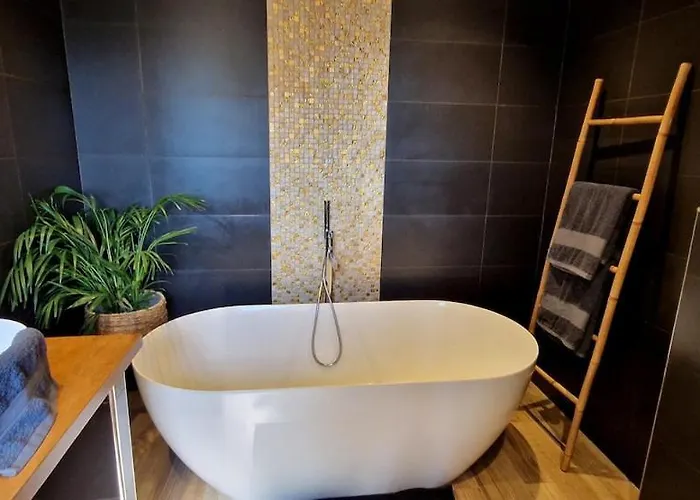 Moderne Avec Piscine 4 Etoiles *